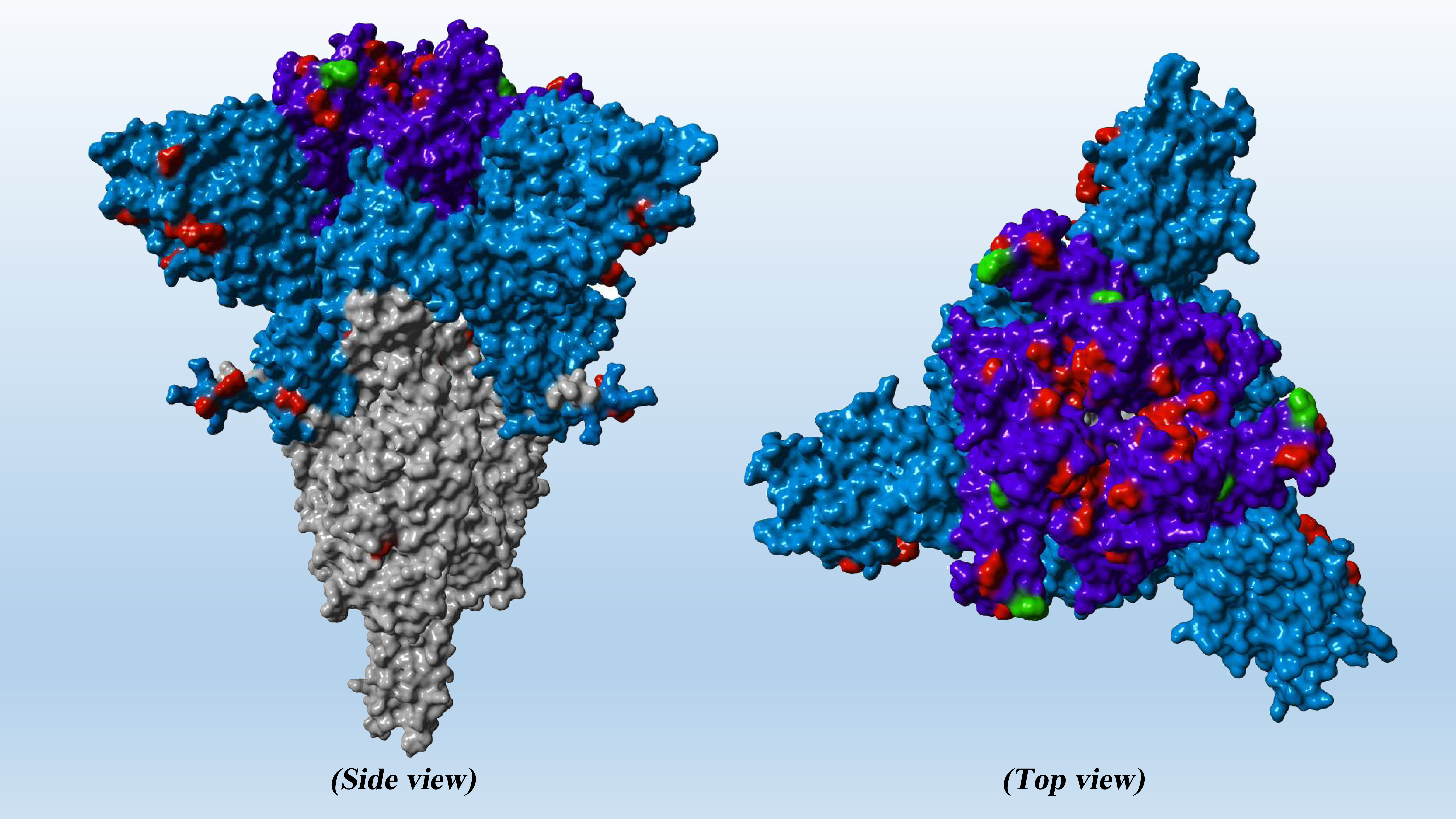 Emerging Omicron subvariants BA.2.12.1, BA.4 and BA.5 are inhibited less efficiently by antibodies.