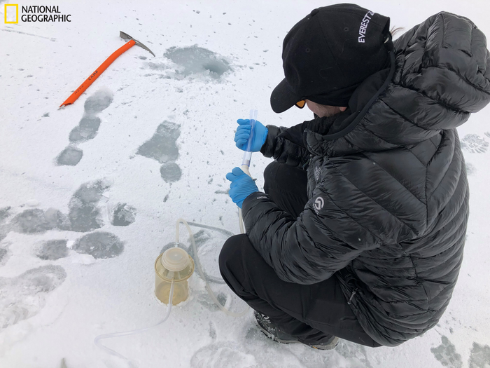 Solving Everest’s wildlife mysteries with eDNA