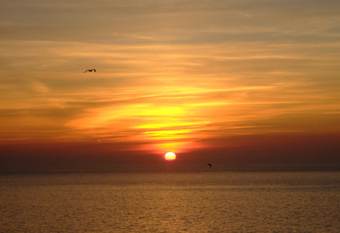 Down on Vitamin D? It could be the cause of chronic inflammation