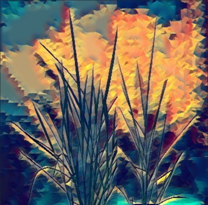 Bigger plants don’t always equal more nutritious ones