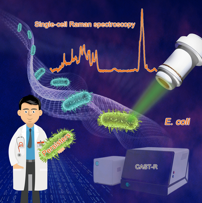 New study reveals how Escherichia coli cells evade antibacterial treatment