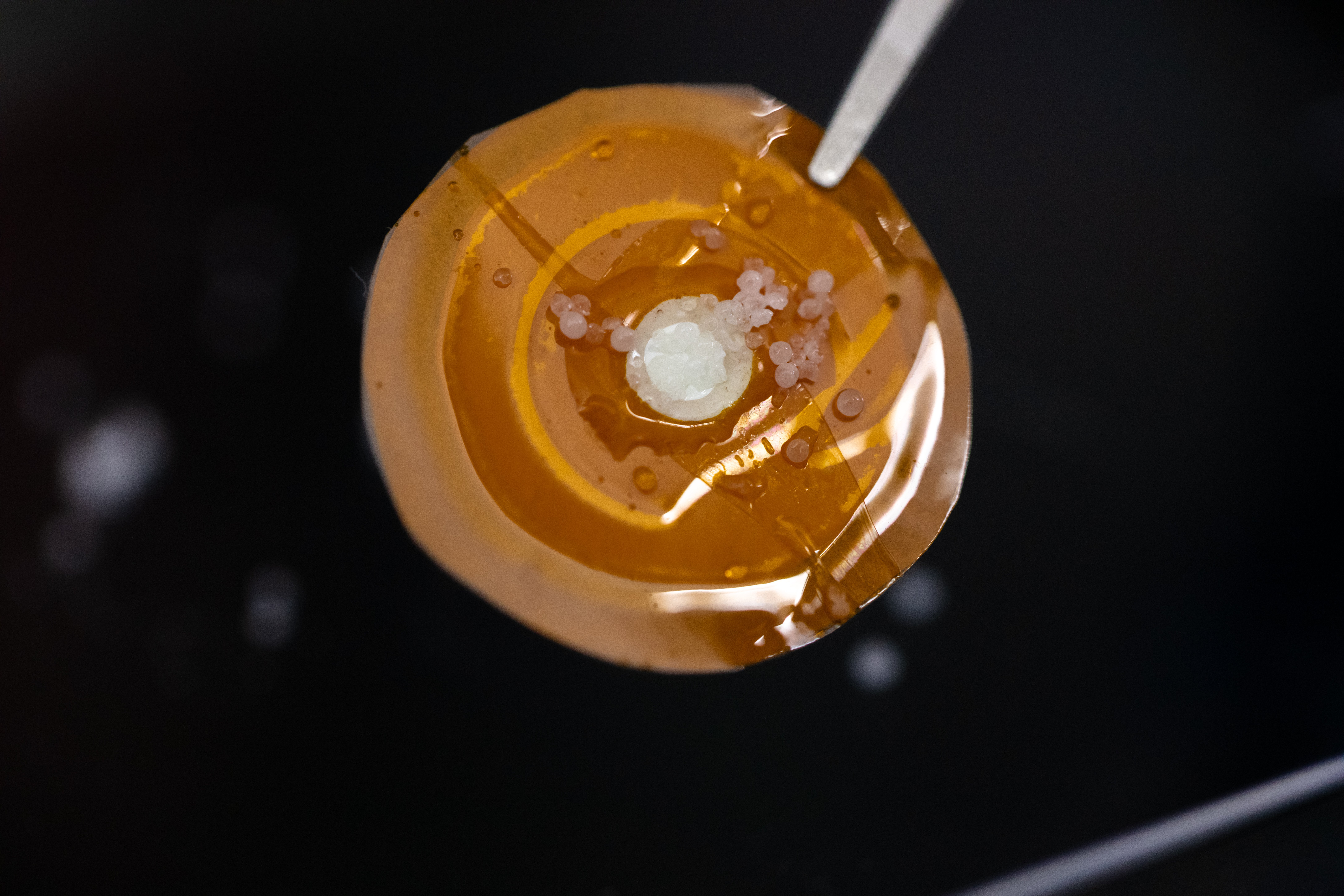 Taking salt out of the water equation.