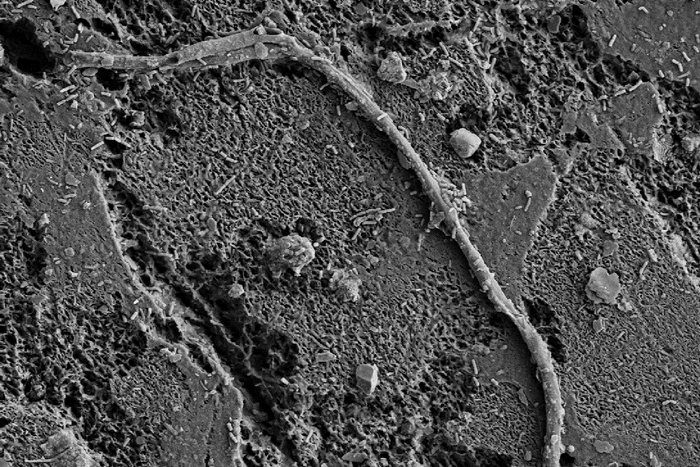 Accurately tracking how plastic biodegrades.