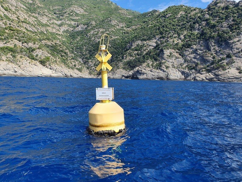 Marine protected areas combat the effects of climate change.