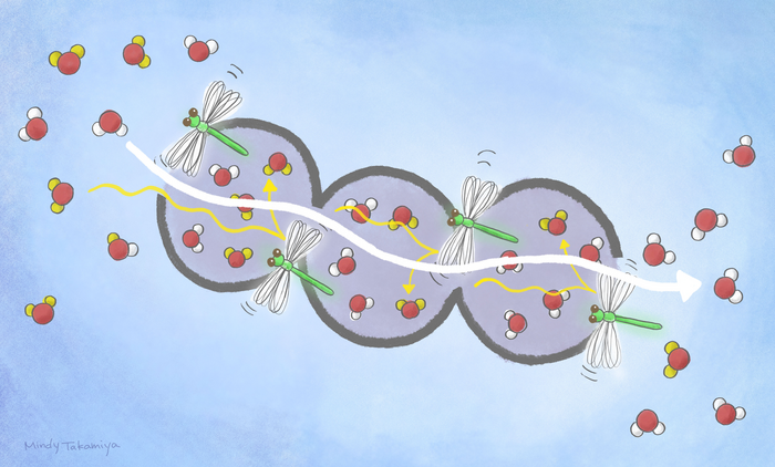 Material separates water from … water.