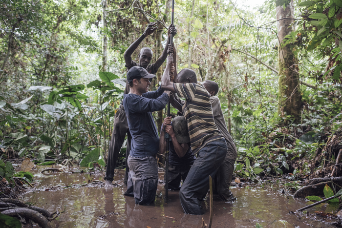 Climate change could trigger the Congo peatlands to release billions of tons of carbon.