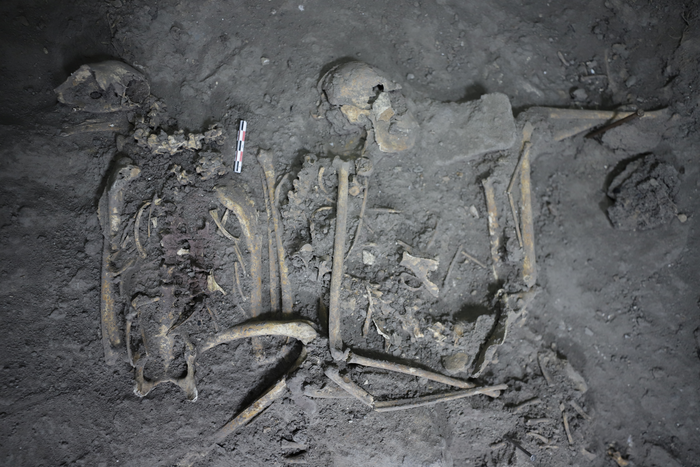 1,700-year-old spider monkey remains discovered in Teotihuacán, Mexico