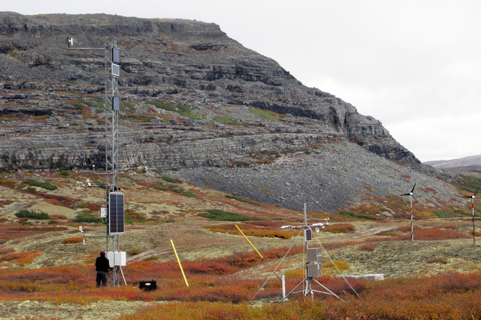 Vegetation regulates energy exchange in the arctic.