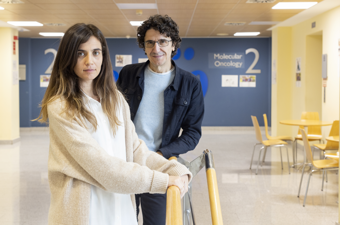 The exceptional case of a person who has survived 12 tumors opens up new avenues for early diagnosis and immunotherapy in cancers.