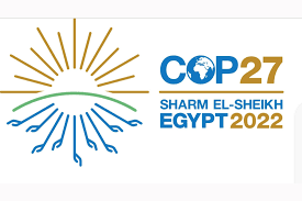 DAILY DOSE: Doom and gloom at COP27; AI helps curb illegal fishing in international waters.