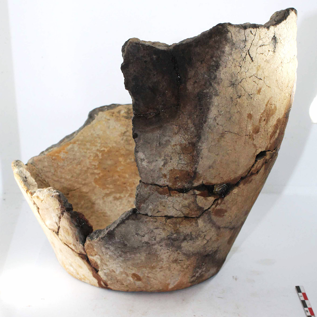 DAILY DOSE: American life expectancy continues to fall; Hunter gatherers were also pottery makers.