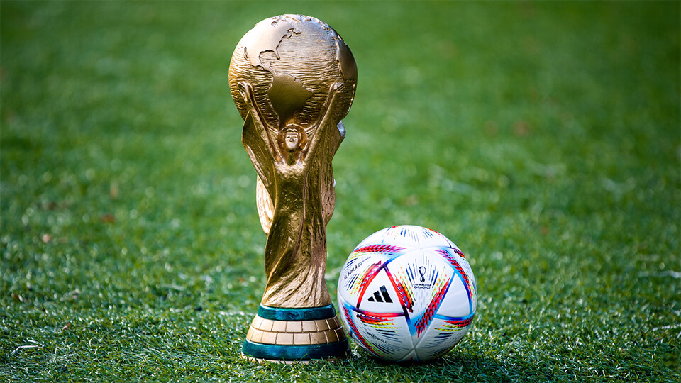 Pitch-perfect: Study of World Cup’s turfgrass may help crops yield more from less