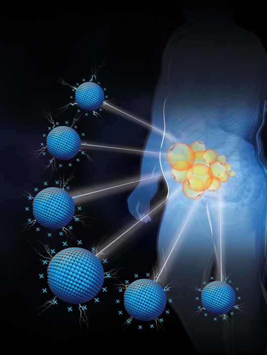 Positively charged nanomaterials treat obesity anywhere you want