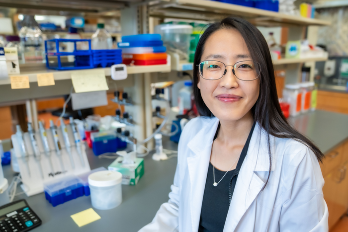 Scientists uncover possible neural link between early life trauma and binge-eating disorder