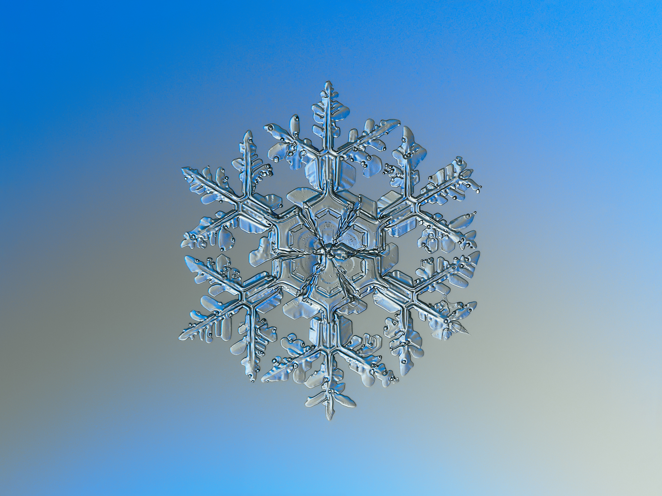12 Days of Christmas Science: Snowflakes, Snowflakes, Snowflakes.