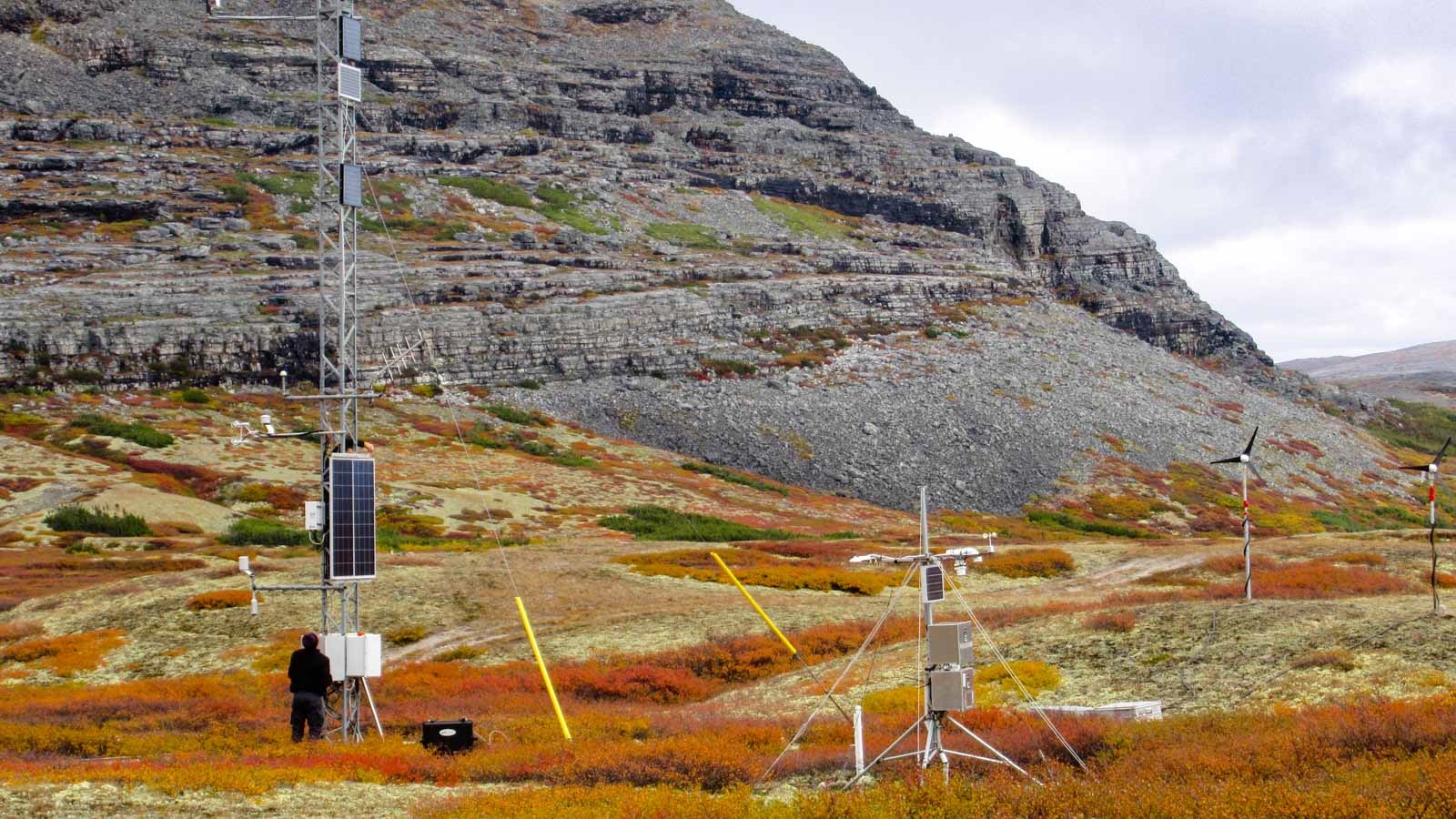 Vegetation has a substantial impact on the movement of energy in the Arctic