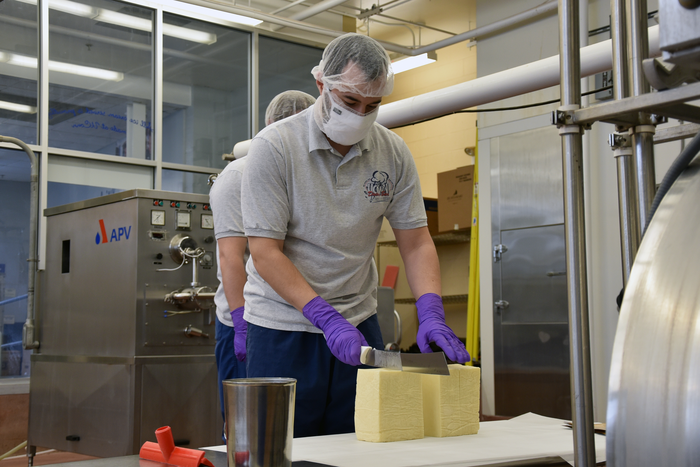 Protective bacterial cultures offer promising path for antibiotic resistant salmonella in food