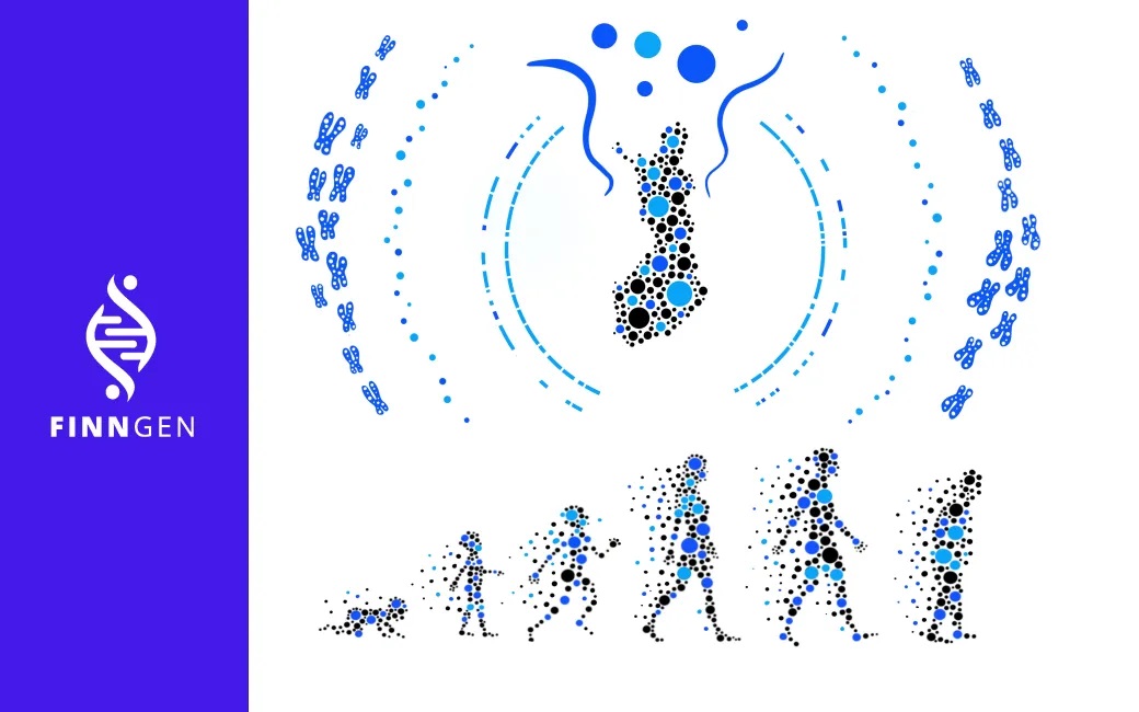 The power of a genetic isolate: Hundreds of novel genetic discoveries from the FinnGen study
