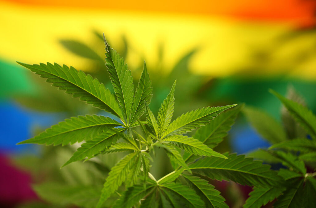 Bisexuals use cannabis more frequently for coping, enhancement