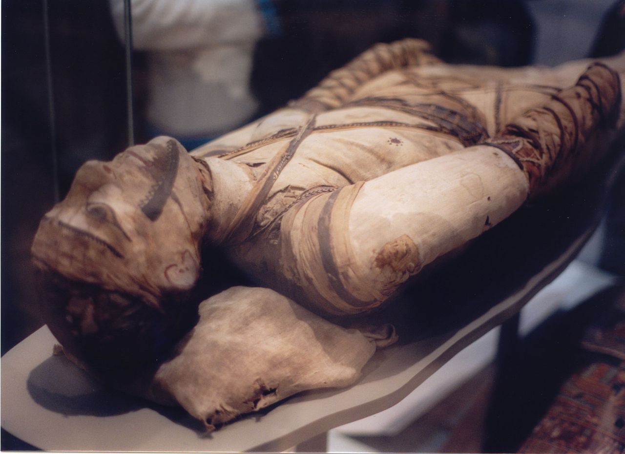 DAILY DOSE: Egyptian Mummification for Dummies.
