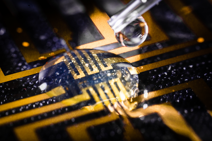 Electrodes grown in the brain – paving the way for future therapies for neurological disorders