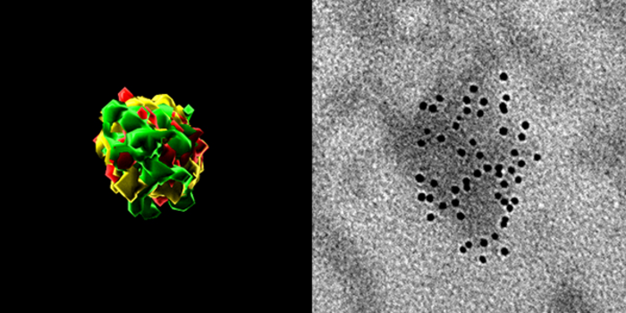Enemies within: Endogenous retroviruses and programmed aging