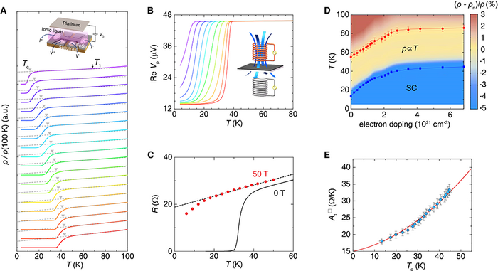 Relationship between superconductivity and strange-metal state in FeSe revealed by ionic-liquid gating