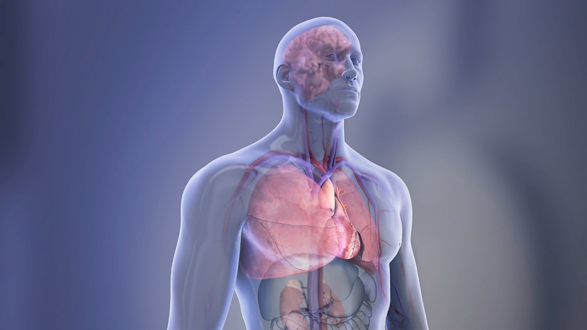 Sepsis increased risk of heart failure and rehospitalization after hospital discharge