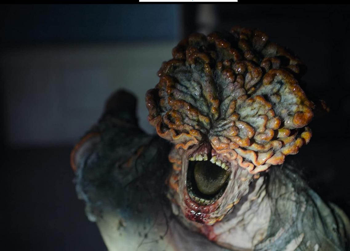 DAILY DOSE: Yes! to more mushroom farms to save the world but… can we keep away from the cordyceps, please?