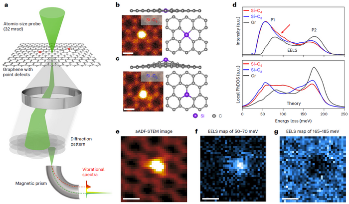 Single-atom vibrational spectroscopy now sensitive at level of chemical bonds