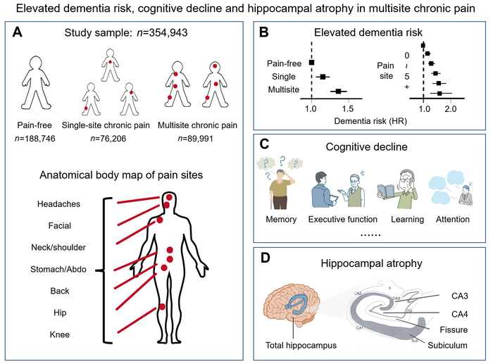 More pain, more burdens: Researchers find link between chronic pain and dementia