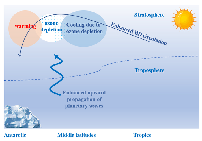 Ozone depletion leads to Antarctic upper-stratospheric warming in winter