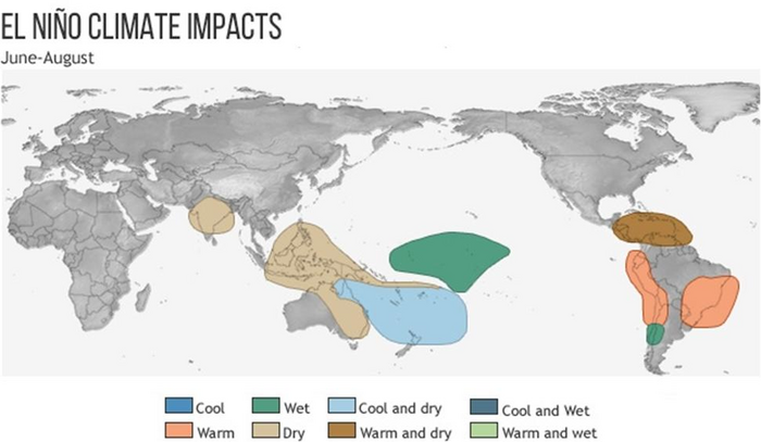 The faster El Niño decays, the fewer typhoons occur the following summer