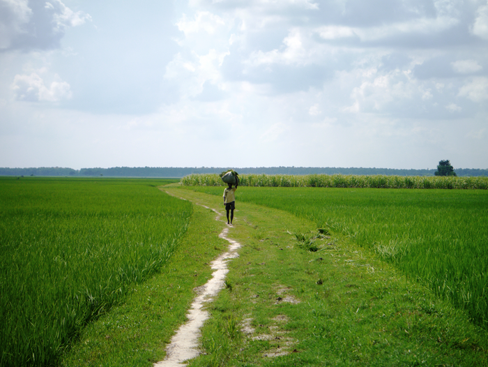 Understanding the long-term impact of climate change on Indian crops