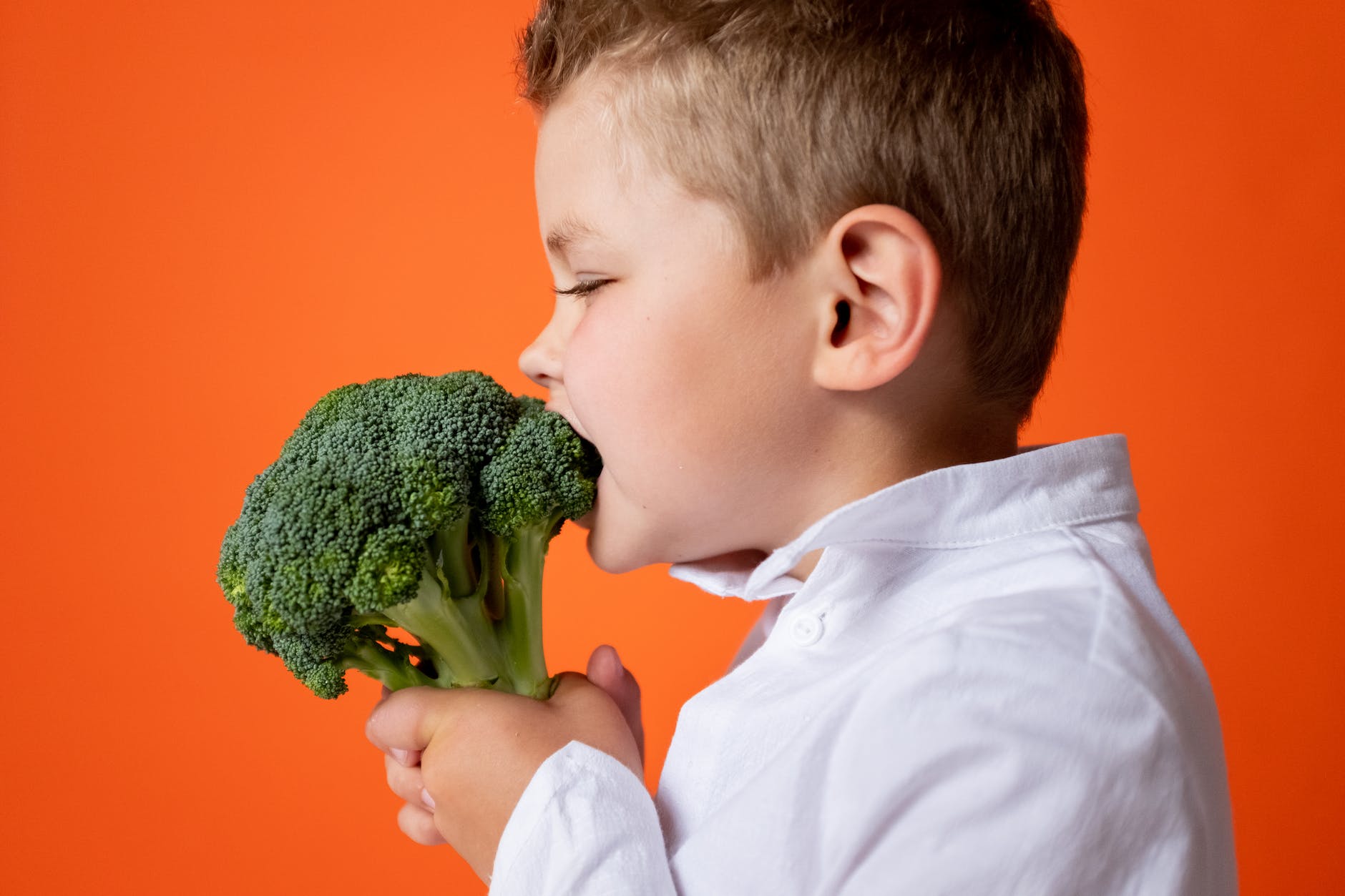 SCINQ BASICS: Broccoli is the O.G. of genetically modified foods. Deal with it. (Blame the Romans.)