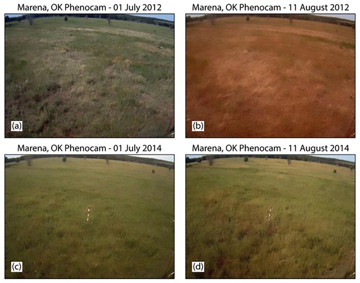 Global flash droughts expected to increase in a warming climate