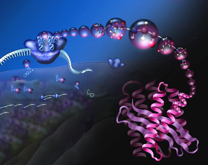 Retooling the ribosomal translation machine could expand chemical repertoire of cells
