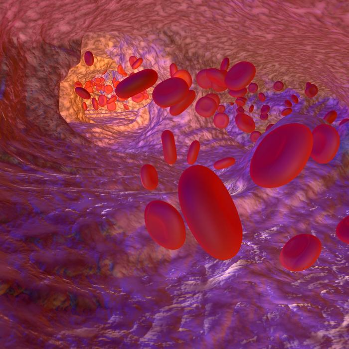 A simple blood test can now diagnose De Vivo disease