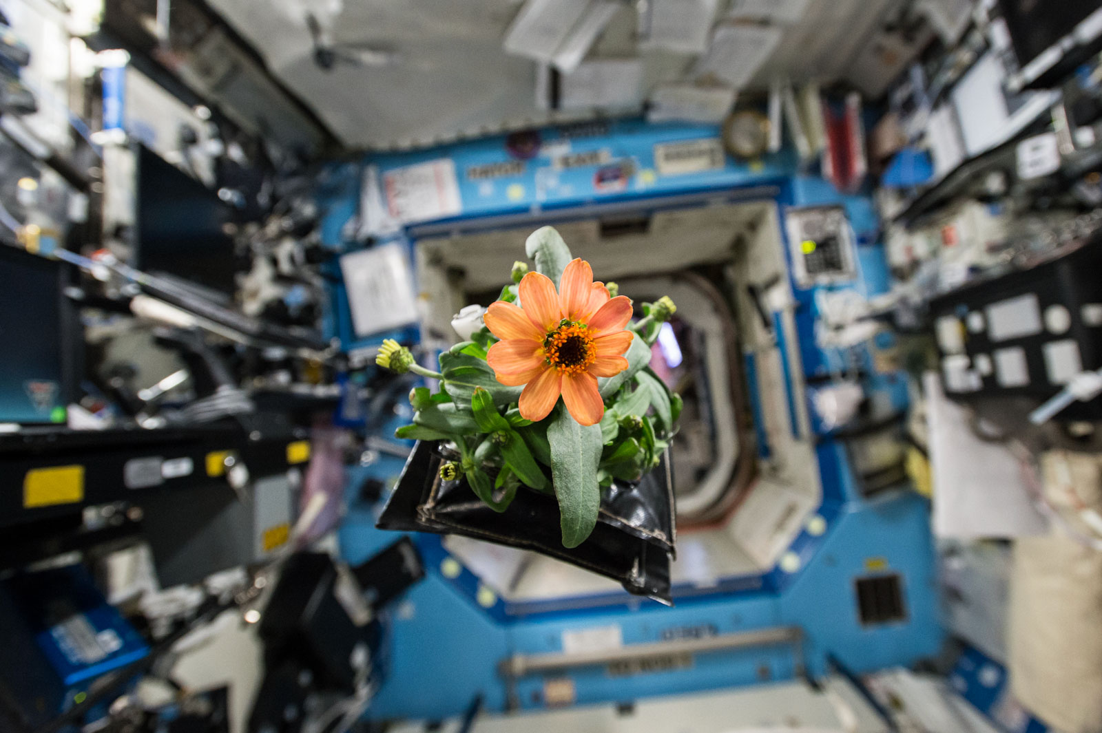 DAILY DOSE: UK Government conducts post-mortem on its pandemic lockdown decisions; With one eye on space travel, scientists grow plants in the dark.