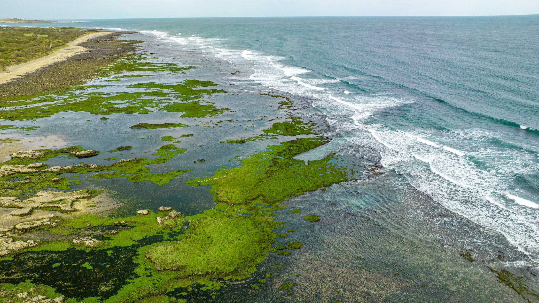 DAILY DOSE: Chinese scientist supposed to be Covid-patient-zero says its ridiculous; Microalgae not the fossil fuel alternative we banked on, unfortunately.