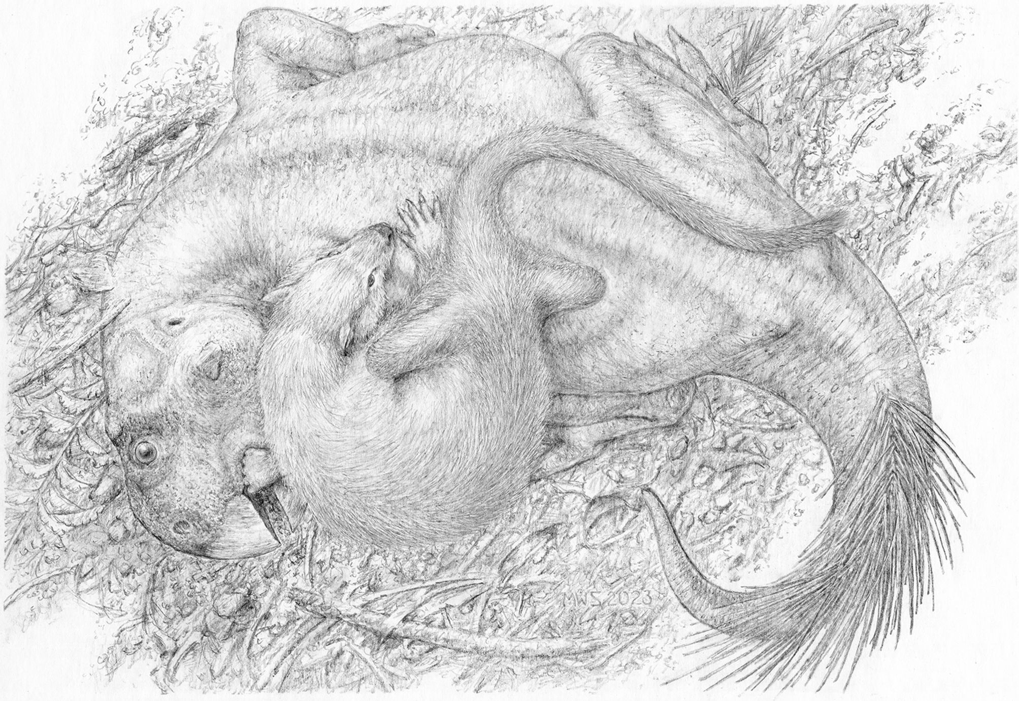 Unusual fossil shows rare evidence of a mammal attacking a dinosaur