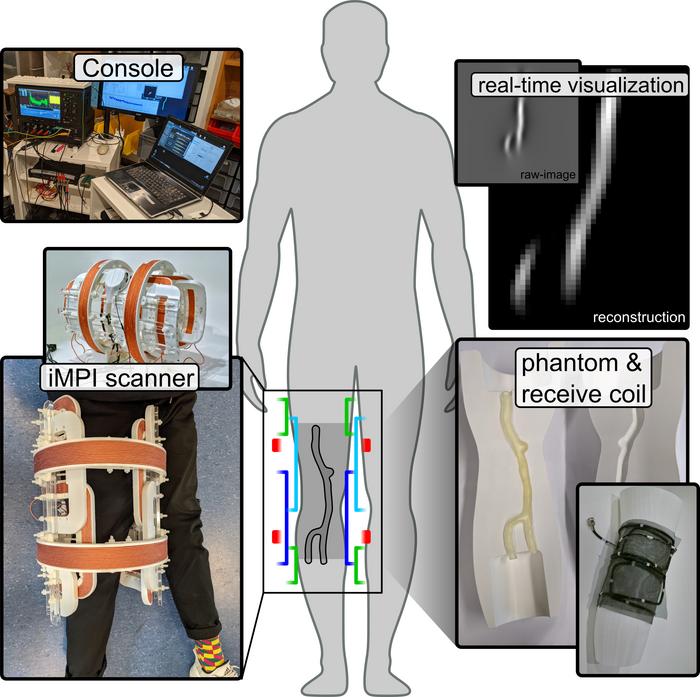 A quick look inside a human being