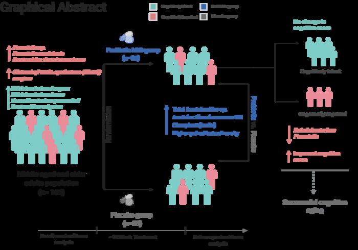 Could probiotics help slow age-related cognitive decline?