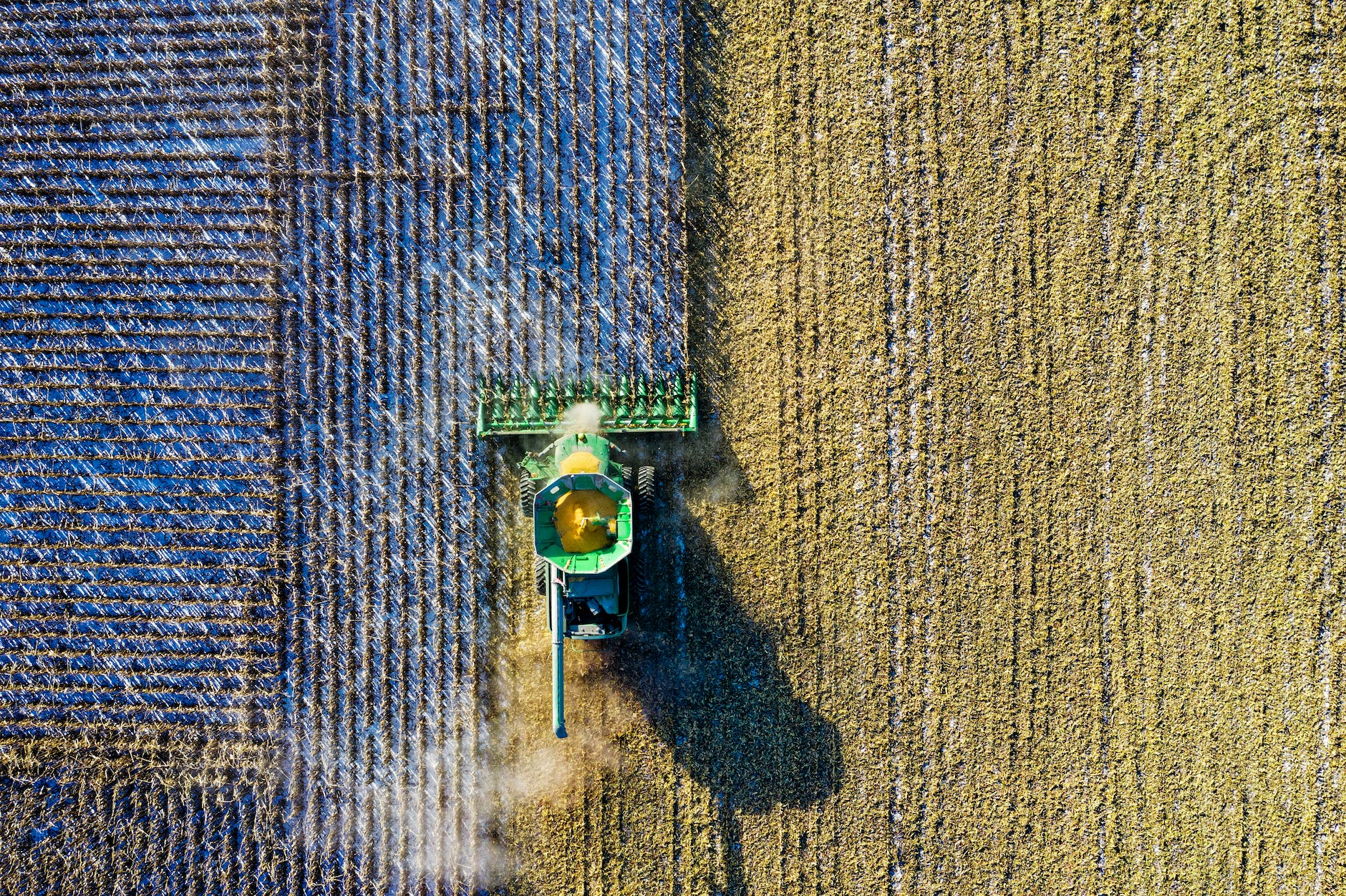 Broad-scope plant science journal publishes focus issue on critical biosecurity gap