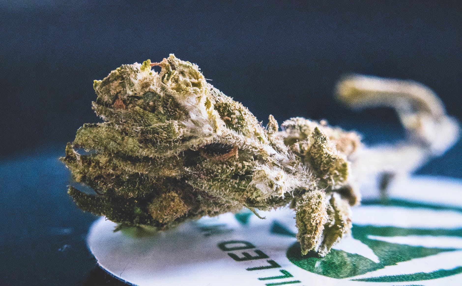 THC-O was tested to see if rumors of psychedelic properties are true. They aren’t (sorry).