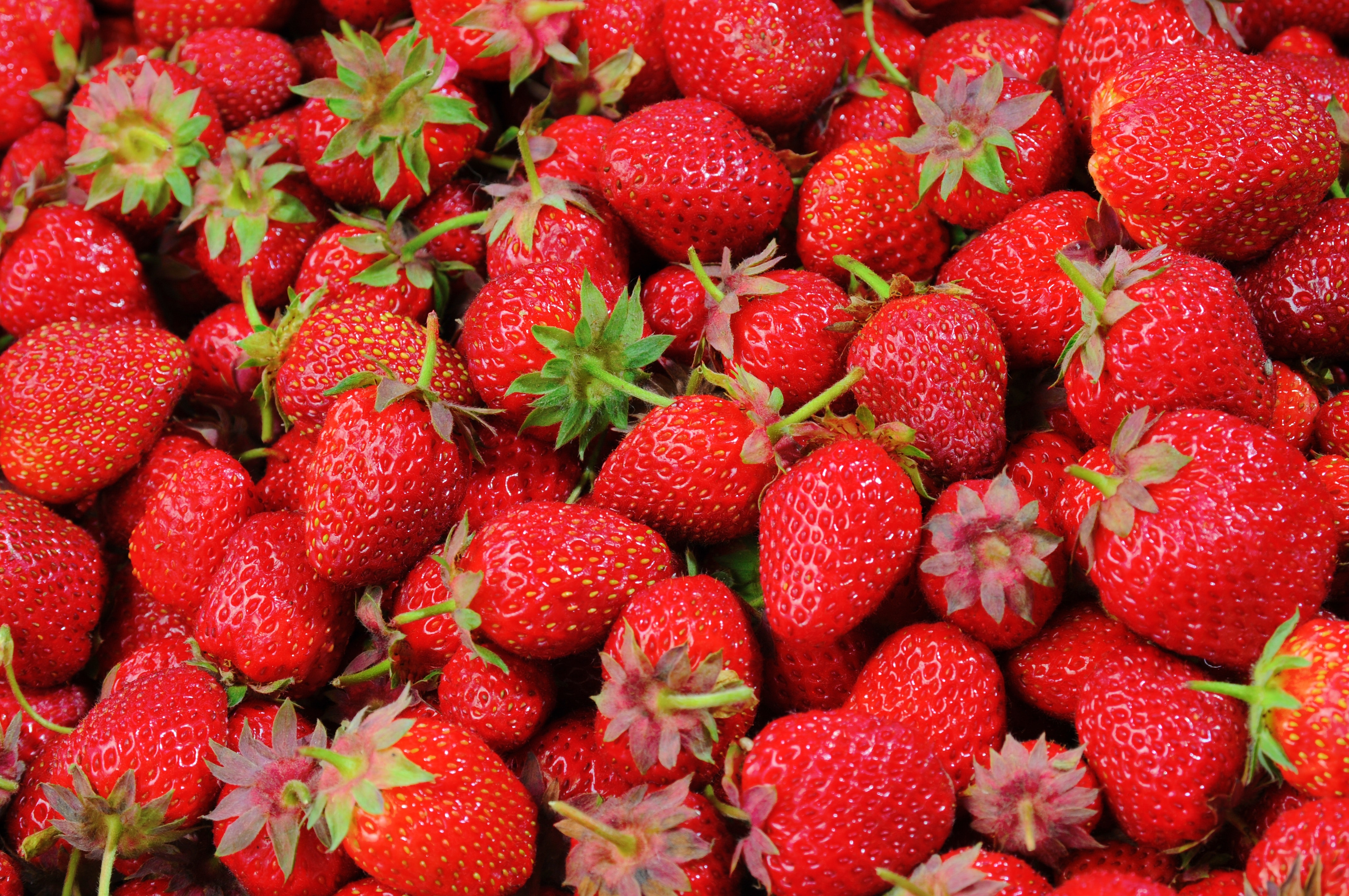 SCINQ BASICS: Strawberries are versatile, healthy, and absolutely tasty.