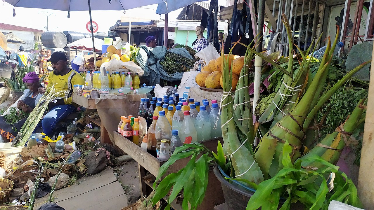 DAILY DOSE: WHO’s inaugural traditional medicine summit raises eyebrows; Apple has patented crazy liquid lenses for its VR push.