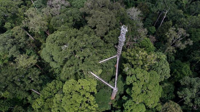 Researchers find global plant water use efficiency stalled due to climate change