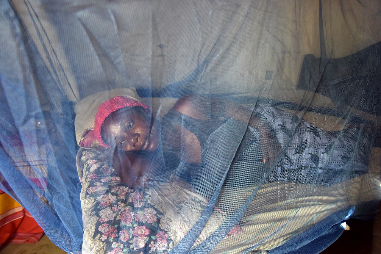 Research informs WHO malaria net guideline update.