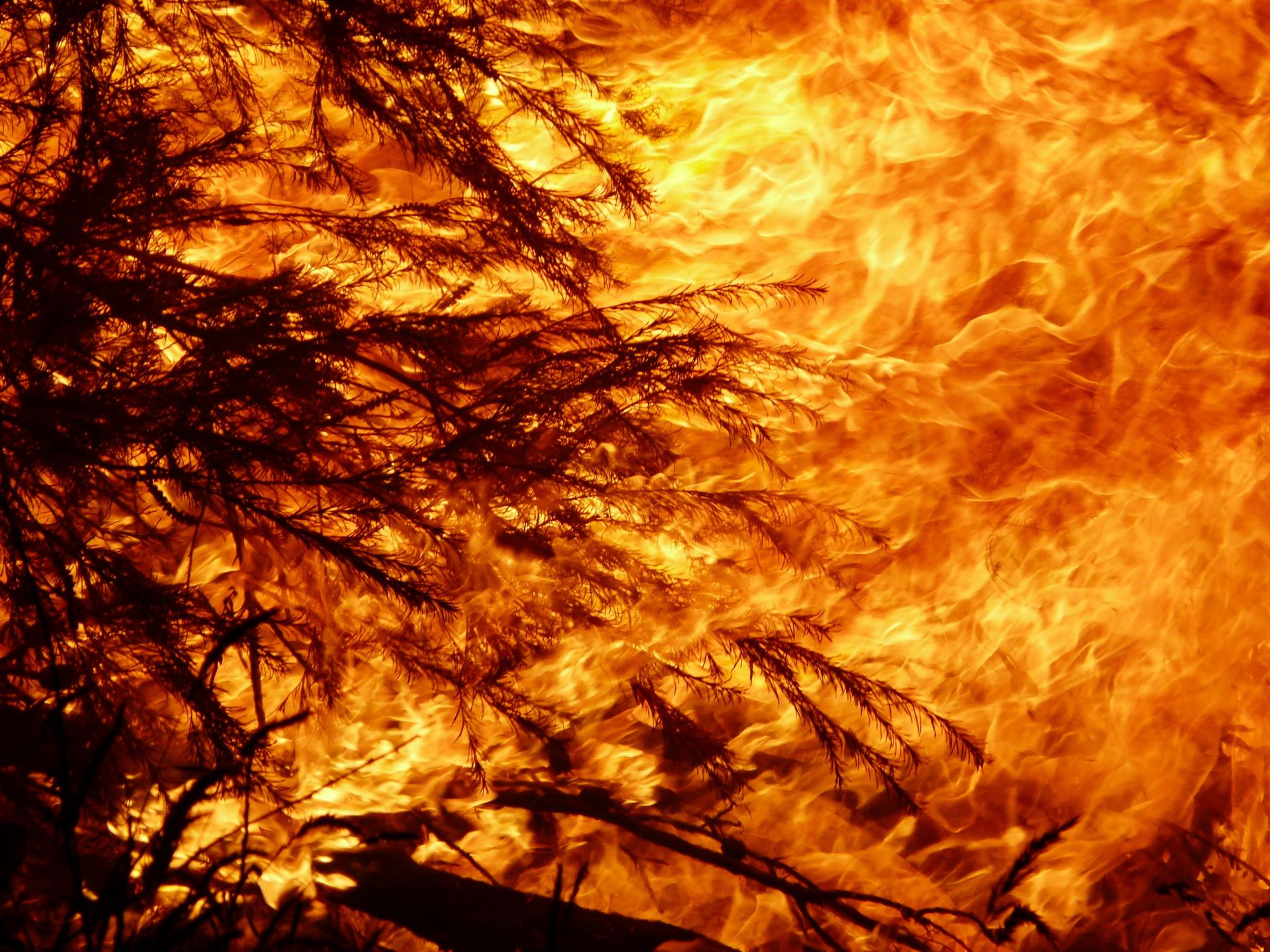 Bushfire sleep trauma trial seeks participants